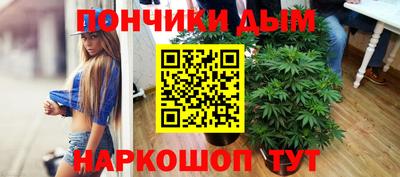 дурь Гатчина