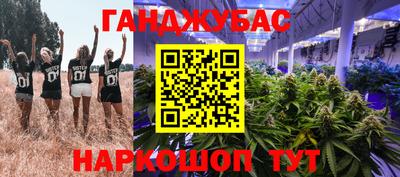 молекула духа Гай
