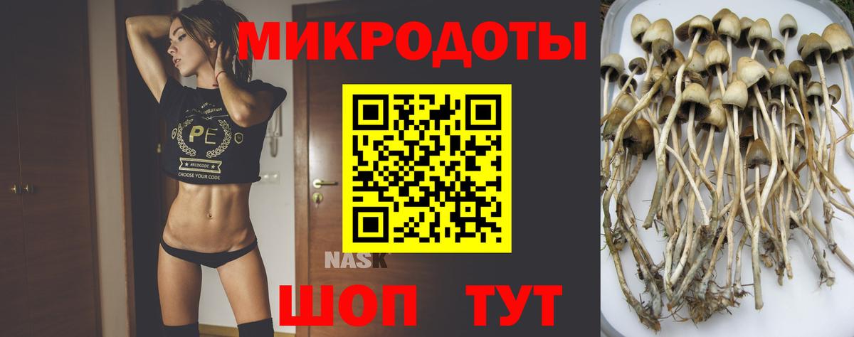 Галлюциногенные грибы Cubensis  Псилоцибиновые грибы MAGIC MUSHROOMS  Вход с VPN  Ревда 
